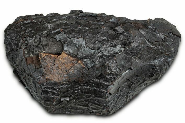 Dragon Scale Stone (Iron, Manganese, Siderite Nodule) #330292